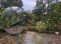 Những Tuyên Bố Gây Chú Ý Của Huấn Hoa Hồng, Phú Lê và Khánh Sky