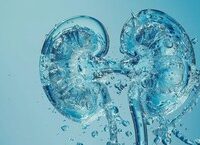 Tìm Hiểu Chế Độ Dinh Dưỡng Hỗ Trợ Giảm Khô Mắt Hiệu Quả