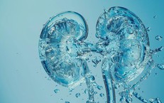 Tìm Hiểu Chế Độ Dinh Dưỡng Hỗ Trợ Giảm Khô Mắt Hiệu Quả
