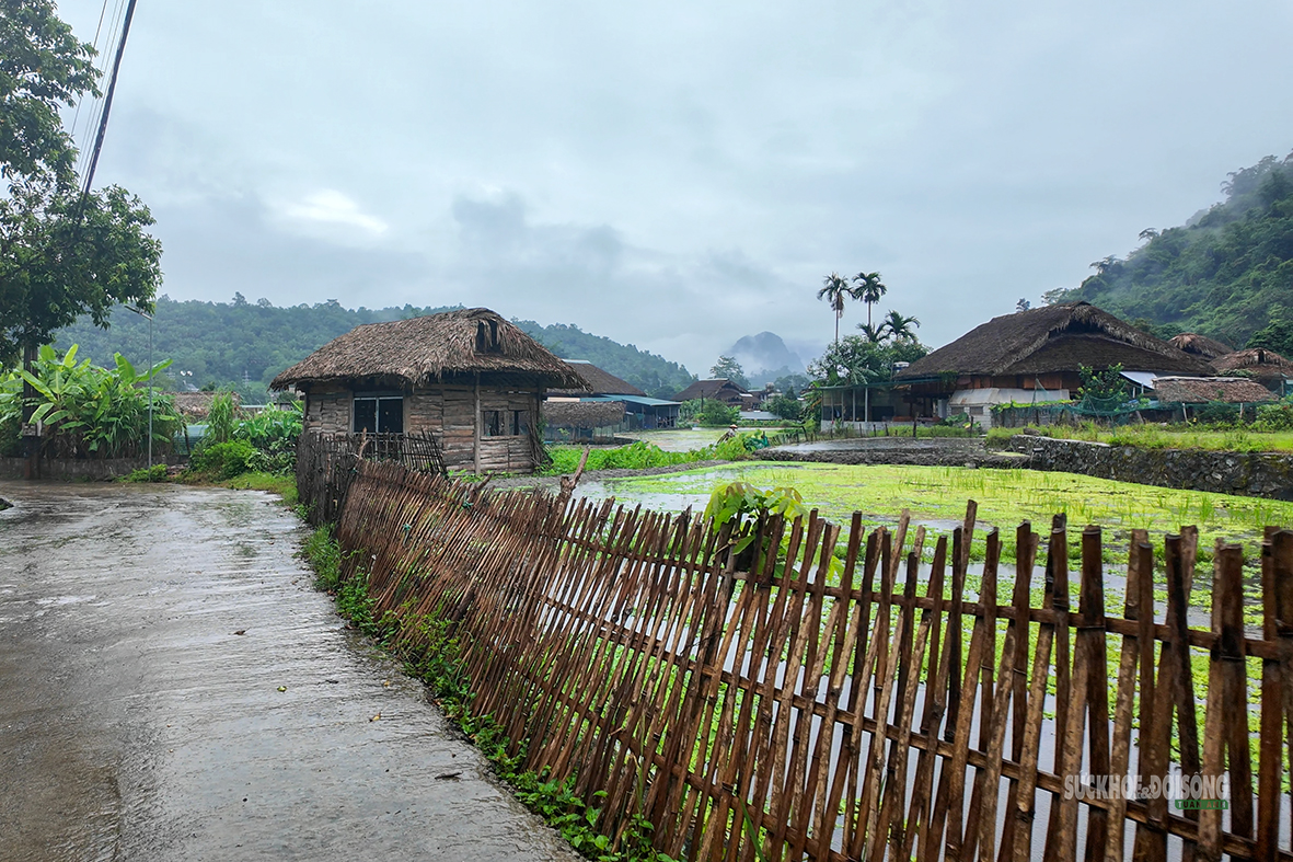 Khám Phá Thôn Tha: Nơi Bảo Tồn Văn Hóa Tày Thành Nghề Du Lịch