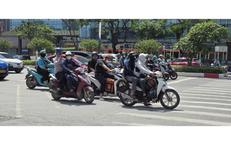 Khám Phá Hóa Thạch Rắn 80 Triệu Năm: Mở Rộng Hiểu Biết Về Tiến Hóa