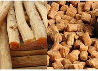 Sự Chuyển Biến Nổi Bật Trong Ngành Hồi Sức Cấp Cứu: Từ Định Hướng Đến Thực Hành