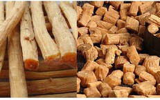 Sự Chuyển Biến Nổi Bật Trong Ngành Hồi Sức Cấp Cứu: Từ Định Hướng Đến Thực Hành
