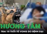 Cảnh Báo: Nguy Hiểm Từ Viêm Ruột Thừa Vỡ Ở Trẻ Em