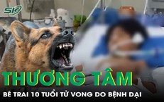Cảnh Báo: Nguy Hiểm Từ Viêm Ruột Thừa Vỡ Ở Trẻ Em