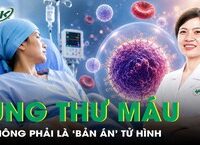 Câu Chuyện Cảnh Báo Về Thiệt Hại Thị Giác Do Quả Dừa Rơi