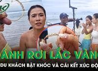 Thời Điểm Công Bố Điểm Chuẩn Đại Học 2026: Những Điều Cần Biết