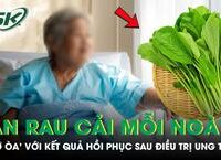 Câu Chuyện Kỳ Dị: Rắn Hổ Trâu Xuất Hiện Từ Điều Hòa Trong Ngủ