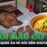 Câu Chuyện Cảm Động Về Chú Trâu Việt Nam Giữa Đám Trẻ Em