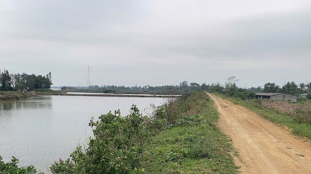 trong-diem-de-quang-tho-1787279686202730413387 Thanh Hóa khởi động kế hoạch bảo vệ 47 vị trí đê điều quan trọng - Ảnh 3.