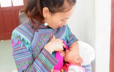Khám Phá Chế Độ Ăn Chay: Giải Pháp Hiệu Quả Giúp Giảm Cân và Mỡ Máu