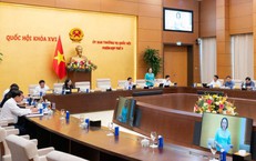 Nâng Cao Năng Suất: Hướng Đi Cần Thiết Để Phát Triển Kinh Tế Việt Nam