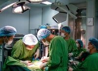 Biến Cố Thương Tâm: Bé Trai 26 Tháng Bị Chó Cắn Nát Khuôn Mặt