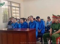 Cải Cách Quản Trị Trường Học Sau Sáp Nhập: Hướng Đi Mới