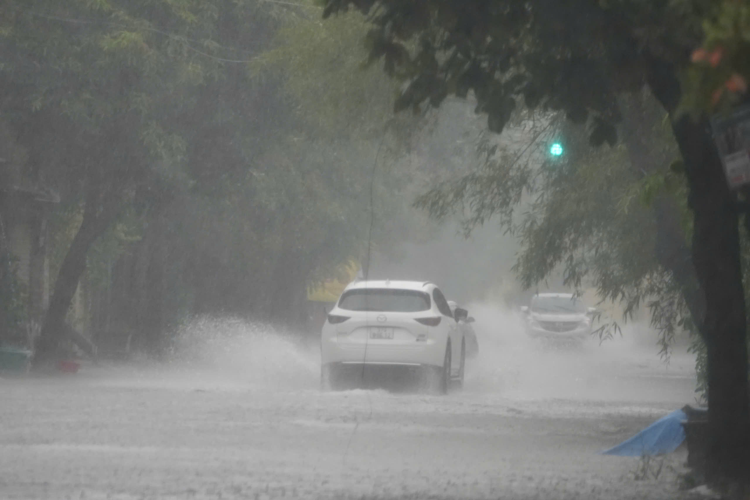 - Ảnh 1.