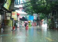 Cải Cách Luật Pháp Trong Văn Hóa và Thể Thao: Xu Hướng Mới Từ UBTVQH