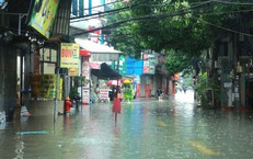 Cải Cách Luật Pháp Trong Văn Hóa và Thể Thao: Xu Hướng Mới Từ UBTVQH