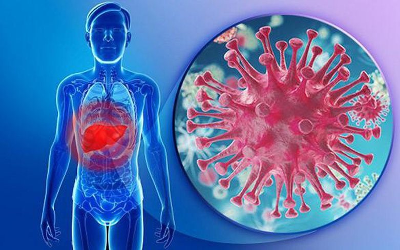 Làm thế nào để phát hiện viêm gan: quy trình khám, xét nghiệm và cảnh báo sớm