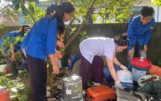 Khám Sức Khỏe Định Kỳ Tại TP.HCM: Thực Trạng Và Đề Xuất Cải Thiện