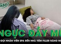 Hướng dẫn kiểm chứng video tin tức: cách xem, đánh giá và chia sẻ an toàn