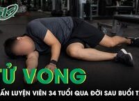 Khám Phá Lợi Ích Của Quả Lựu: Tại Sao Nên Thêm Vào Chế Độ Ăn Uống
