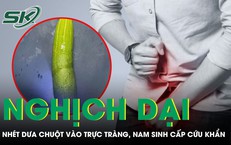 Khi một xe đạp bị ôtô tông: phân tích rủi ro và cách xử lý an toàn