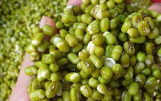 Những thực phẩm vô hình làm giảm hấp thu sắt và cách điều chỉnh bữa ăn hợp lý
