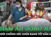 Khi rắn xuất hiện trong nhà: hướng dẫn ứng xử an toàn cho gia đình