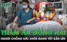 Khi rắn xuất hiện trong nhà: hướng dẫn ứng xử an toàn cho gia đình