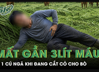 6 giờ quyết định: cách bác sĩ giành lại sự sống và bài học truyền thông y tế