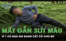 6 giờ quyết định: cách bác sĩ giành lại sự sống và bài học truyền thông y tế