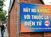Nâng tầm dược liệu Việt: từ bảo tồn nguồn gen đến chuỗi giá trị có thể cạnh tranh
