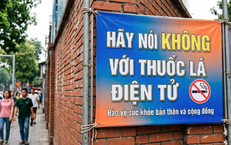 Nâng tầm dược liệu Việt: từ bảo tồn nguồn gen đến chuỗi giá trị có thể cạnh tranh
