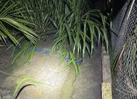 Bạo lực học đường: nhìn từ vụ nam sinh tấn công bạn học và bài toán phòng ngừa