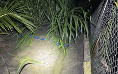 Bạo lực học đường: nhìn từ vụ nam sinh tấn công bạn học và bài toán phòng ngừa