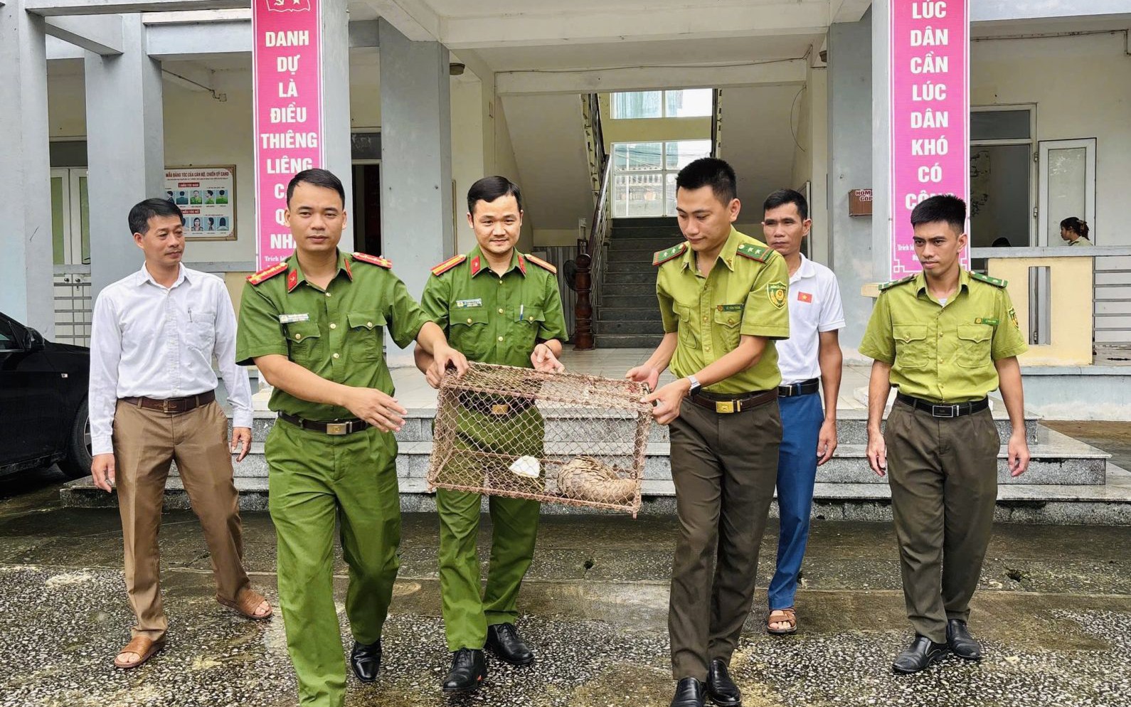 Quy Trình Cứu Hộ và Tái Thả Động Vật Hoang Dã Tại Vườn Quốc Gia Bạch Mã