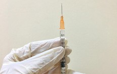 Lễ Hội Đua Thuyền Truyền Thống Tại Quê Hương Đại Tướng Võ Nguyên Giáp