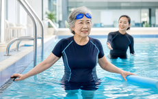 Lá sung trong y học dân gian: 5 công dụng đã được ghi nhận và hướng dẫn dùng an toàn