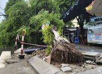 Đầu thú sau bốn thập kỷ: hành trình kết thúc 40 năm lẩn trốn của Nguyễn Đức Khiêm