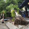 Đầu thú sau bốn thập kỷ: hành trình kết thúc 40 năm lẩn trốn của Nguyễn Đức Khiêm