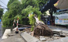 Đầu thú sau bốn thập kỷ: hành trình kết thúc 40 năm lẩn trốn của Nguyễn Đức Khiêm