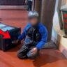 Tiếp cận video nhạy cảm trên mạng: hướng dẫn kiểm chứng và hành xử có trách nhiệm