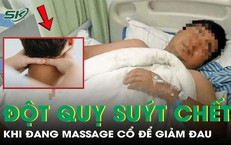 Khi rắn độc cắn: phản ứng tức thời, rủi ro và cách xử lý an toàn